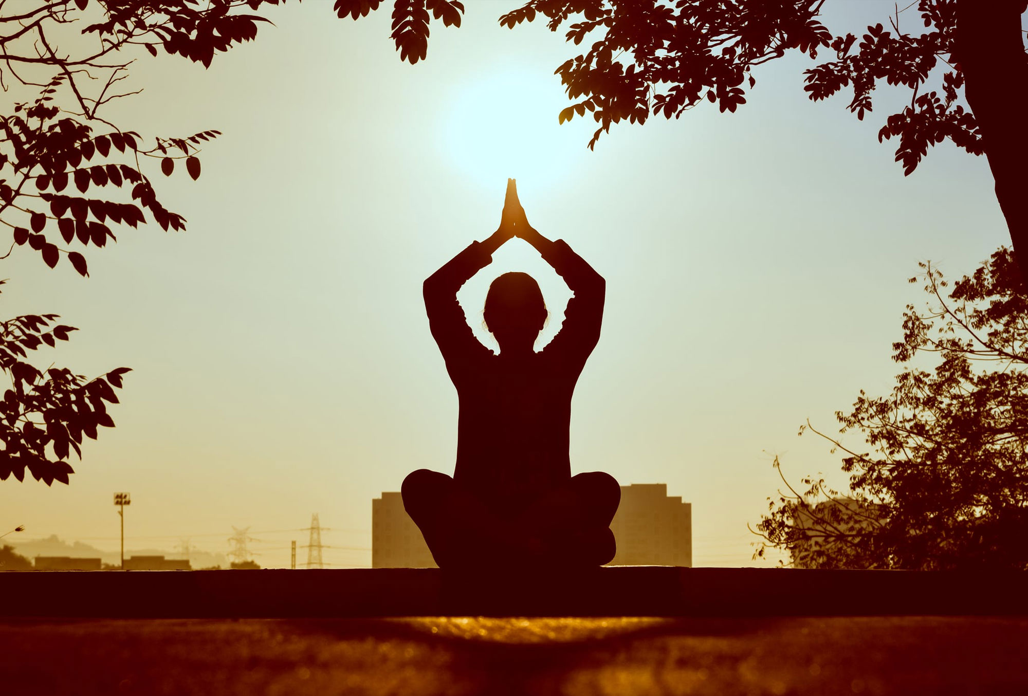 Meditation Outdoors Meditation Outdoors