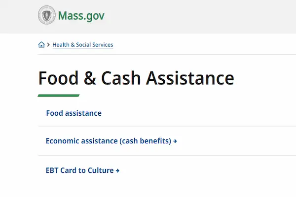 government benefits by state